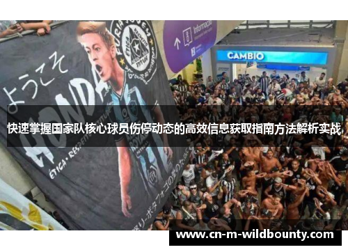 快速掌握国家队核心球员伤停动态的高效信息获取指南方法解析实战